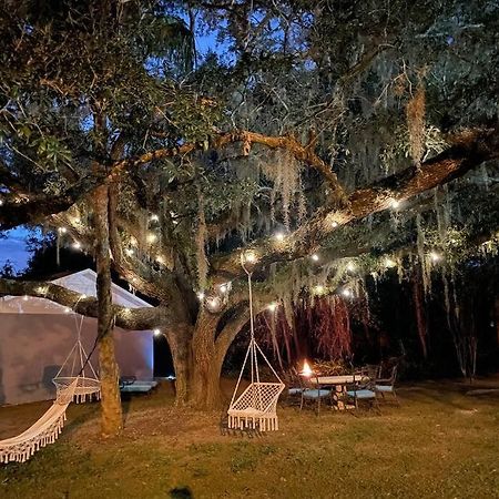 Nature Coast Getaway #1 - Cozy 2 Bedroom Homosassa Εξωτερικό φωτογραφία