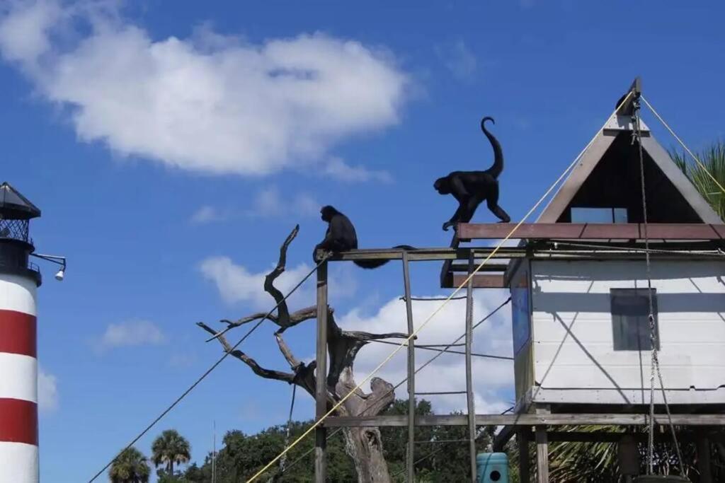 Nature Coast Getaway #1 - Cozy 2 Bedroom Homosassa Εξωτερικό φωτογραφία